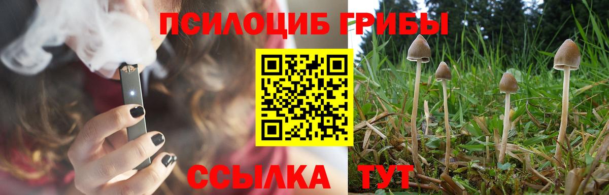 Галлюциногенные грибы ЛСД Воскресенск